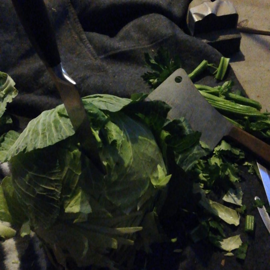 Foley death to cabbage